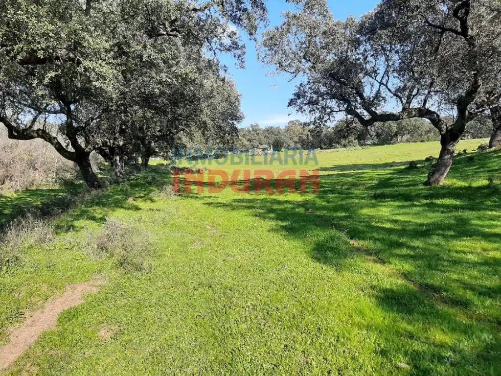Casa en venta en Millanes, imagen 5