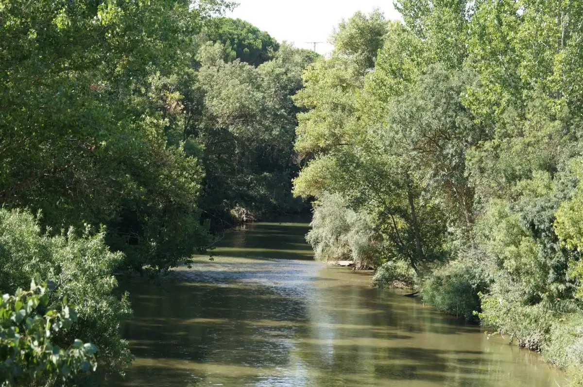 Residential land for sale in Laguna de Duero, imagen 12