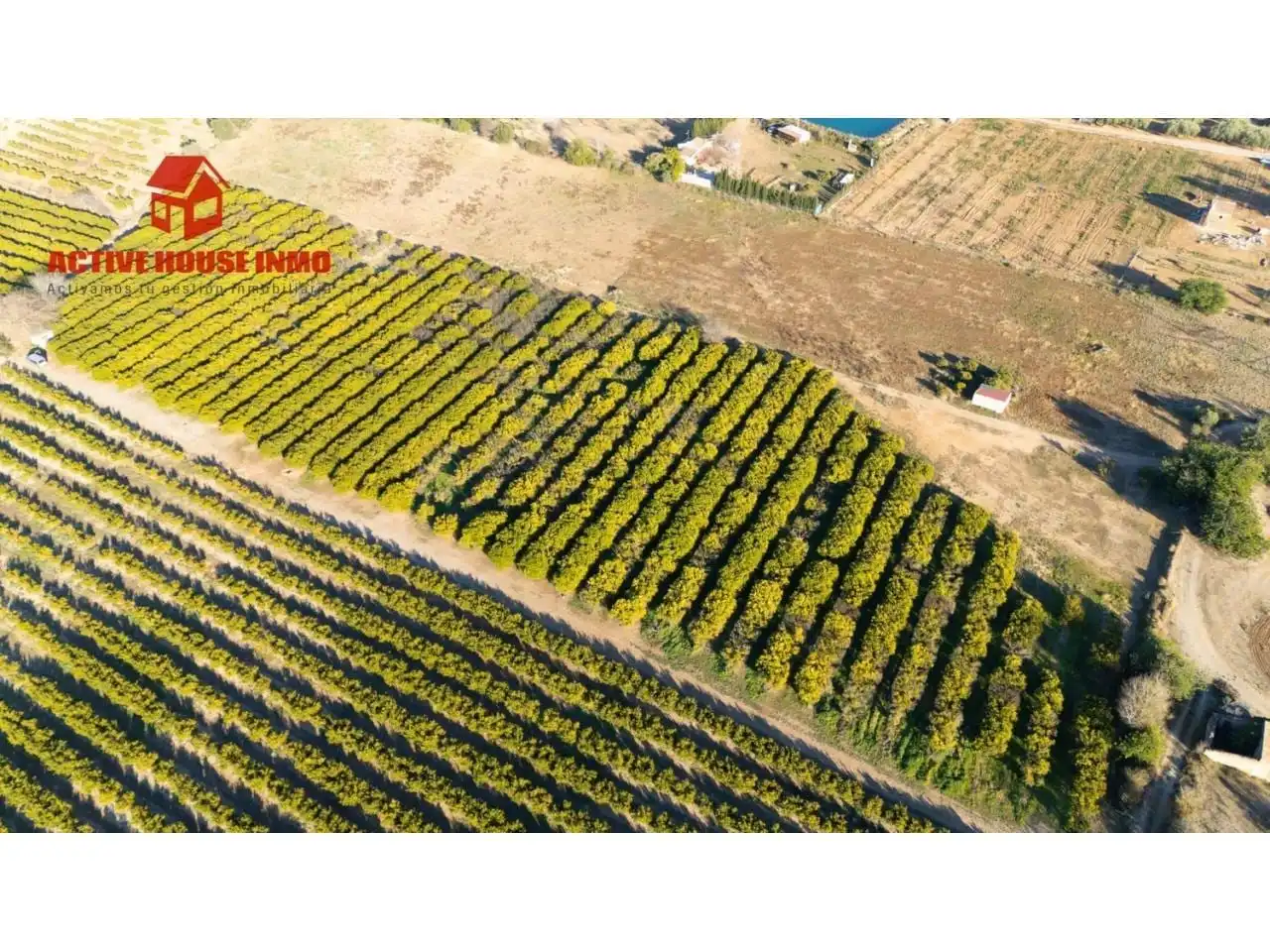Terreno rustico in vendita a Calle Pol 12 Parc 100, imagen 3