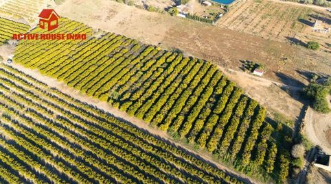 Terreno en venta en Santa Bàrbara, immagine 3