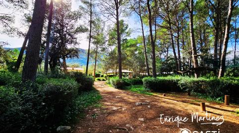 Foto 5 de Finca rústica en venda a Parcent, Alicante