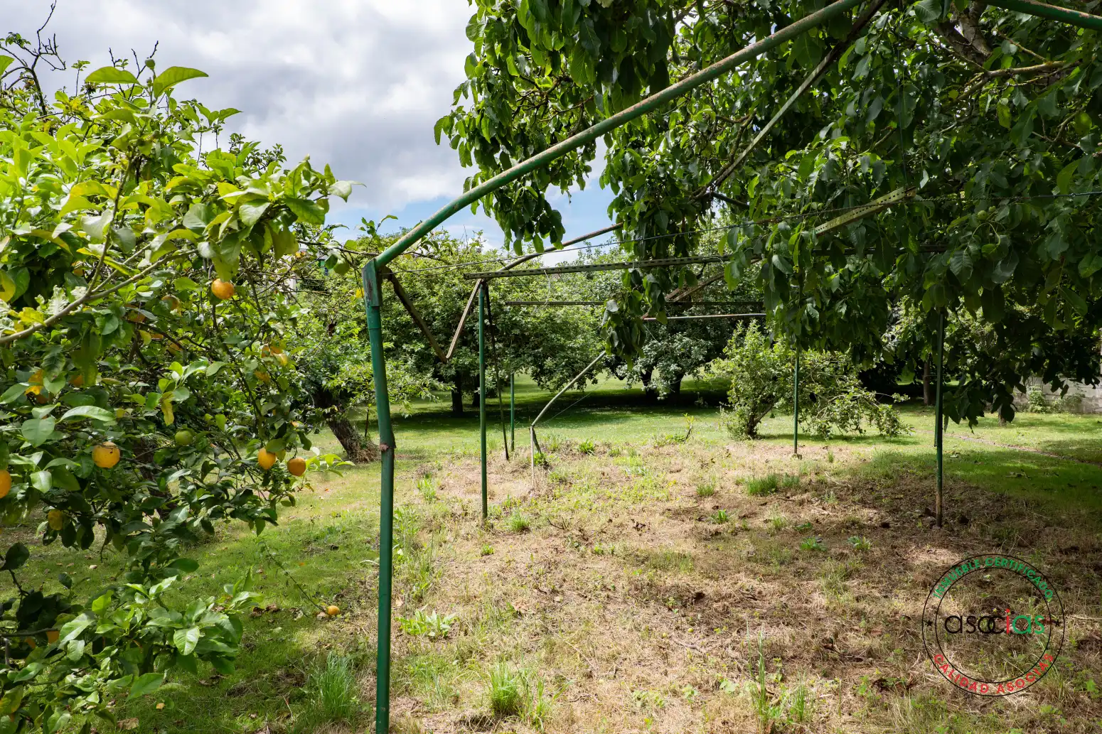 Jardín de Terreno en venta en Gijón 