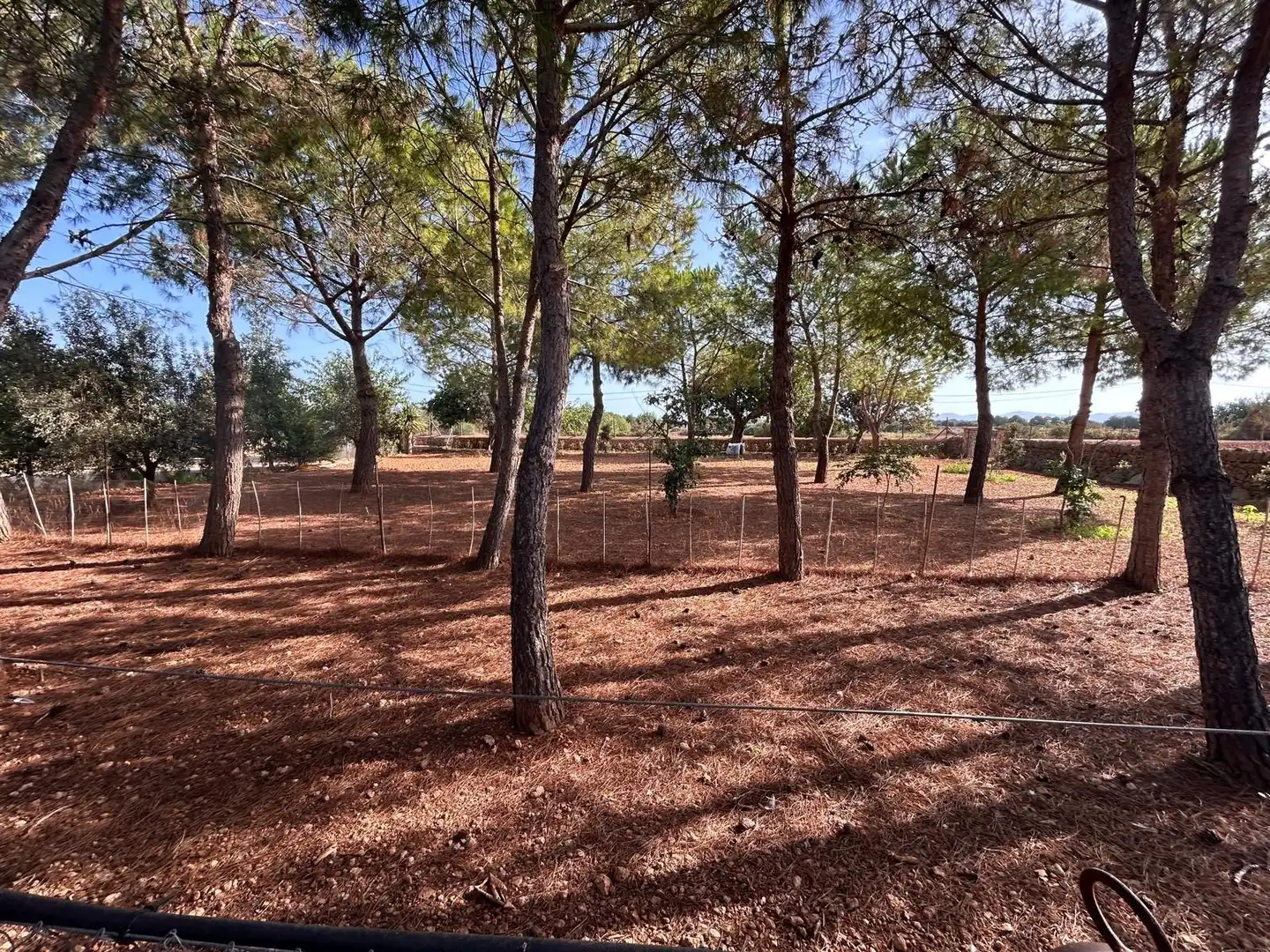 Country homes for sale in Felanitx Poble