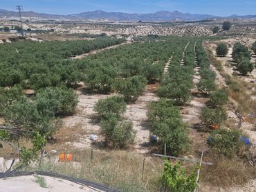 Terreno rustico in vendita a RM-A7 119