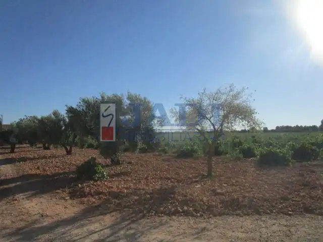Casa rústica amb piscina en venda a Valdepeñas, imagen 5