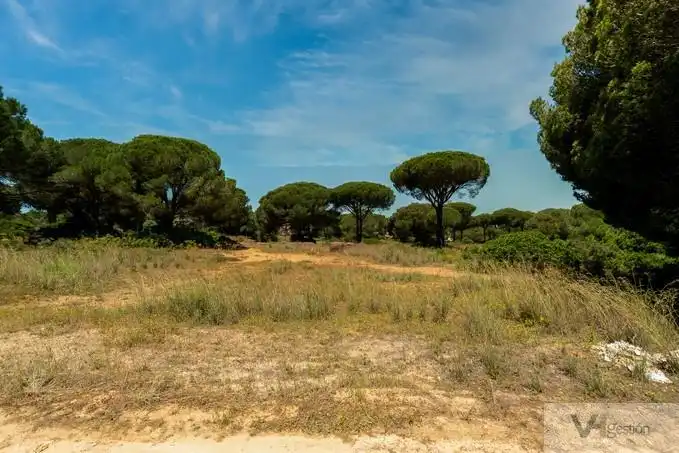 Terrenys i solars en venda a Novo Sancti Petri, imagen 7