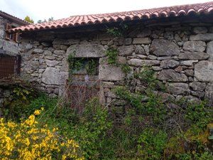 Vista exterior de Casa o chalet en venta en Covelo con Jardín privado