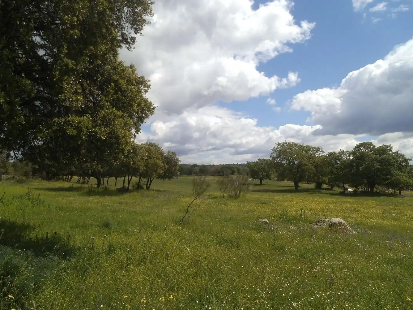 Residencial en venda en Valdemorillo