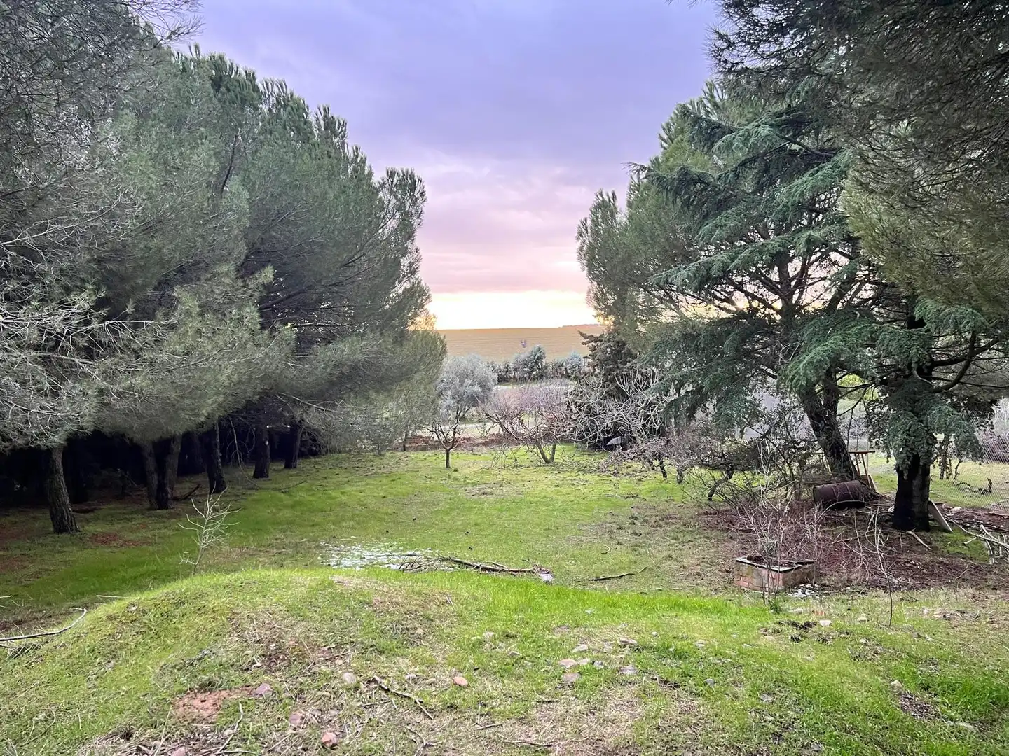 Residencial en venta en Serracines