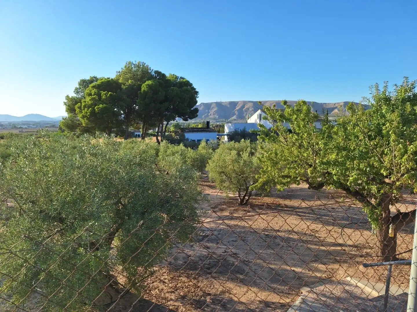 Finca rústica en venta en Villena con Terraza y Piscina