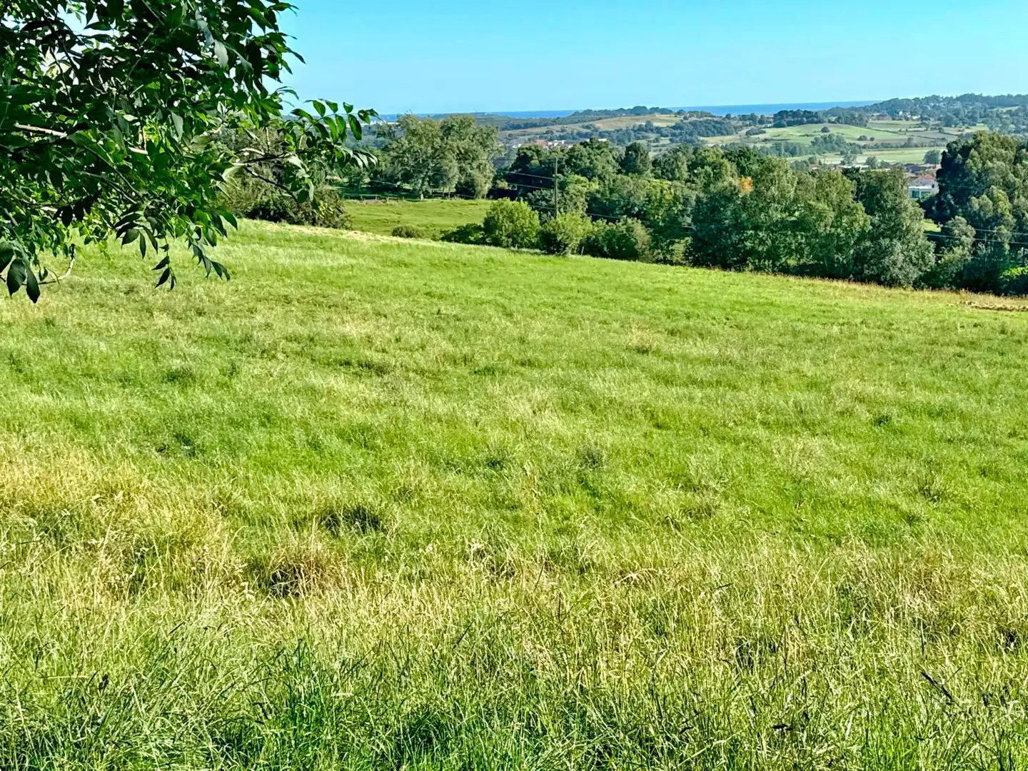 Terreno en venta en Medio Cudeyo