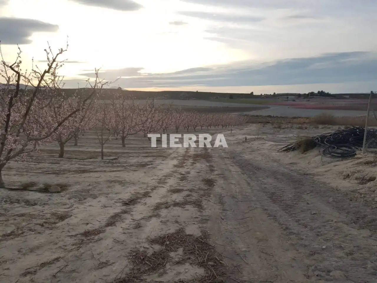 Rustikales Grundstück zum Verkauf in Pasaje LA MACETUA, imagen 6
