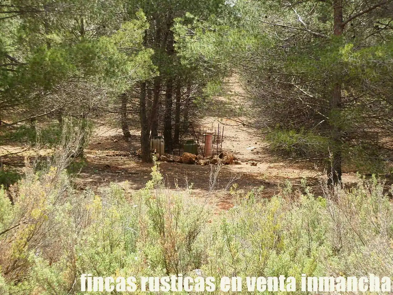 Terreno rustico in vendita a Ruidera, imagen 21
