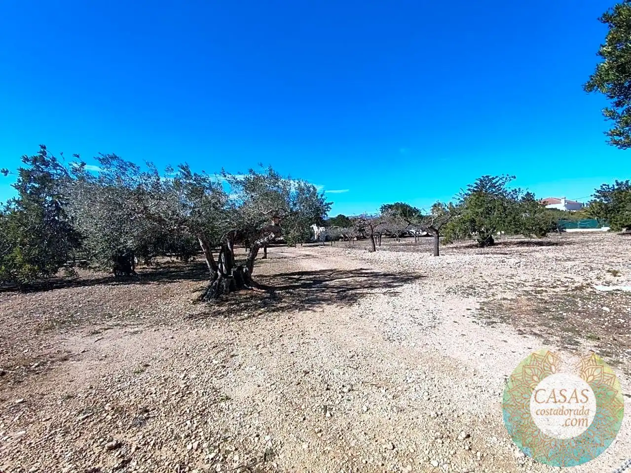 Finca rústica en venda en L'Ametlla de Mar 
