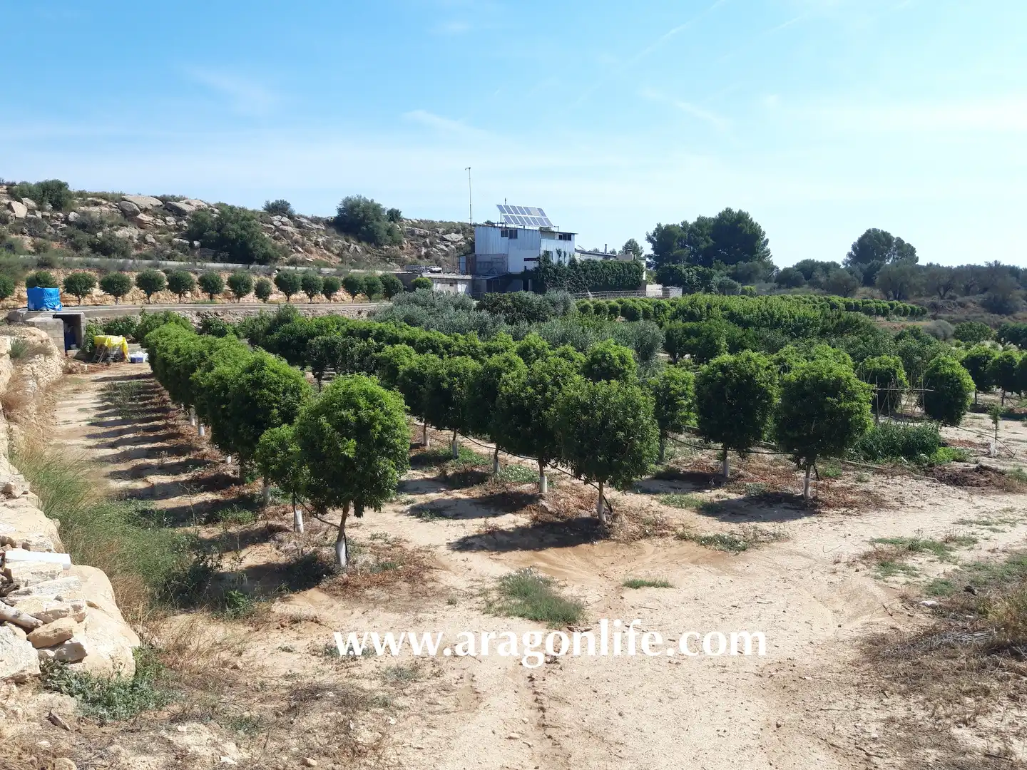 Finca rústica en venta en Caspe con Amueblado