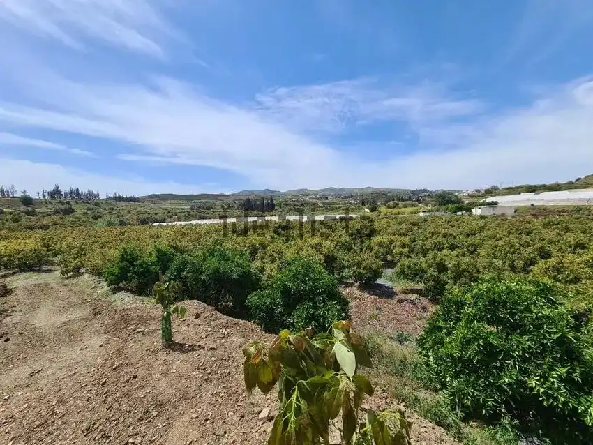 Terrain rustique à vendre à Vélez-Málaga ciudad, imagen 3
