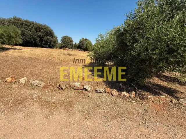 Houses for sale in Ronda  with Private garden, Terrace and Furnished