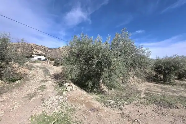 Finca rústica en venta en Huércal-Overa con Aire acondicionado, Jardín privado y Terraza