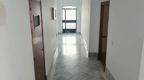 Foto 2 von Dachboden zum Verkauf in Avenida San Jerónimo, 40, Bornos, Cádiz