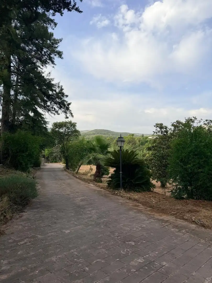 Villa avec piscine à vendre à Albaida, imagen 52