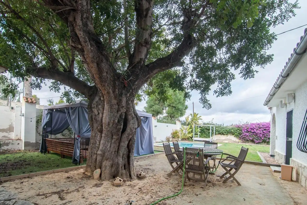 Jardí de Casa o xalet en venda en Mutxamel amb Aire condicionat, Calefacció i Jardí privat