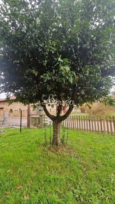 Finca rústica en venta en Zeanuri con Calefacción