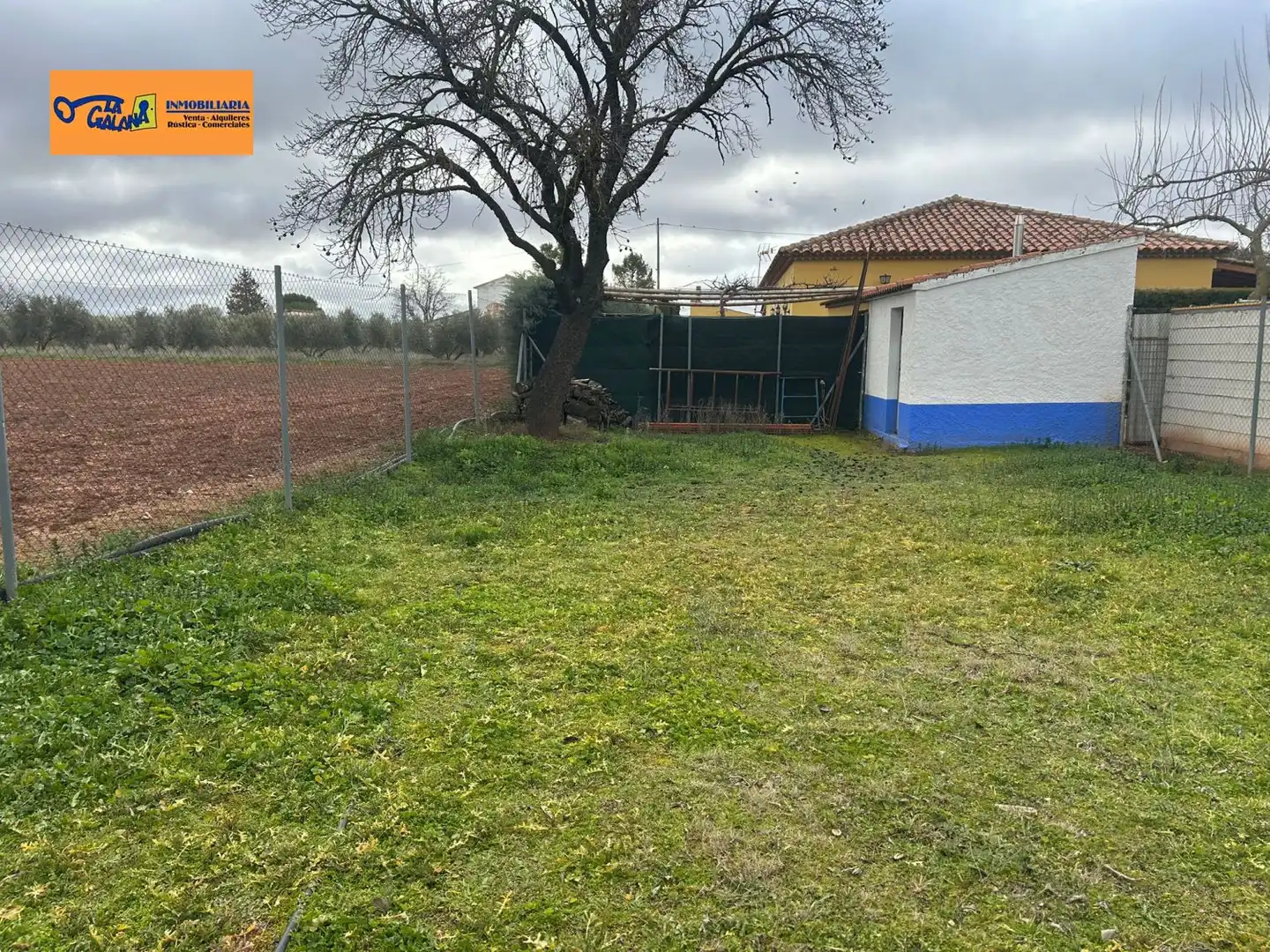 Country homes for sale in Villanueva de los Infantes (Ciudad Real)