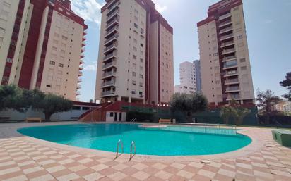 Piscina de Apartament en venda en Gandia amb Terrassa, Moblat i Piscina comunitària