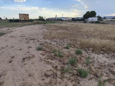 Terreno rustico in vendita a Totana