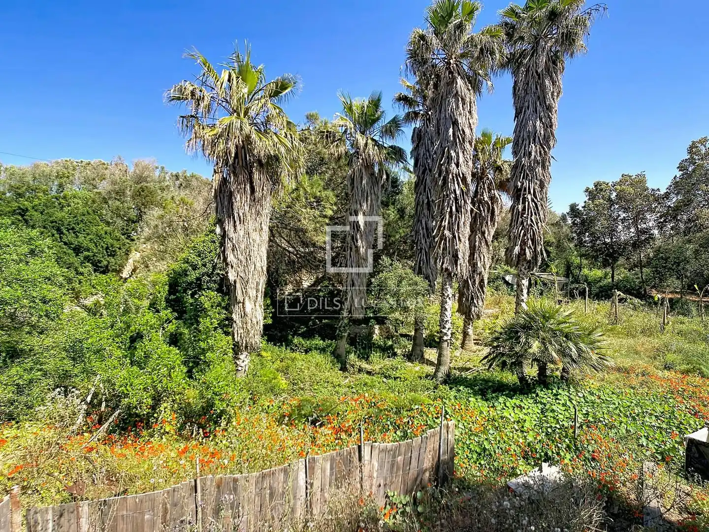 Jardí de Finca rústica en venda en Ciutadella de Menorca amb Aire condicionat, Jardí privat i Terrassa