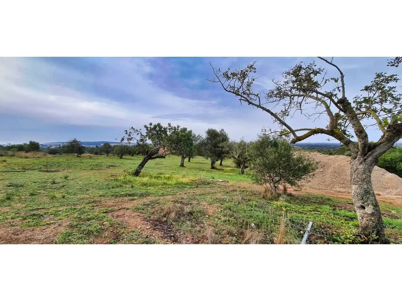 Landhaus mit Pool zum Verkauf in Poligono 4 608, imagen 13