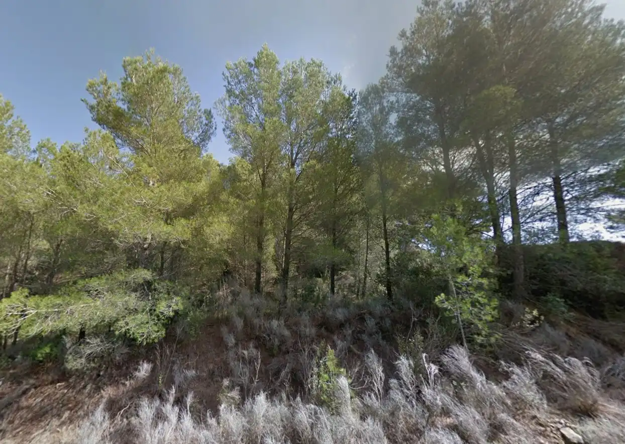 Terreno residenziale in vendita a Carrer de la Vallesa 187, imagen 26
