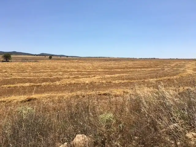 Terreno rustico in vendita a Almansa, imagen 2