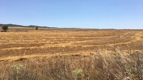 TERRENO POR LA CARRETERA DE AYORA, immagine 2