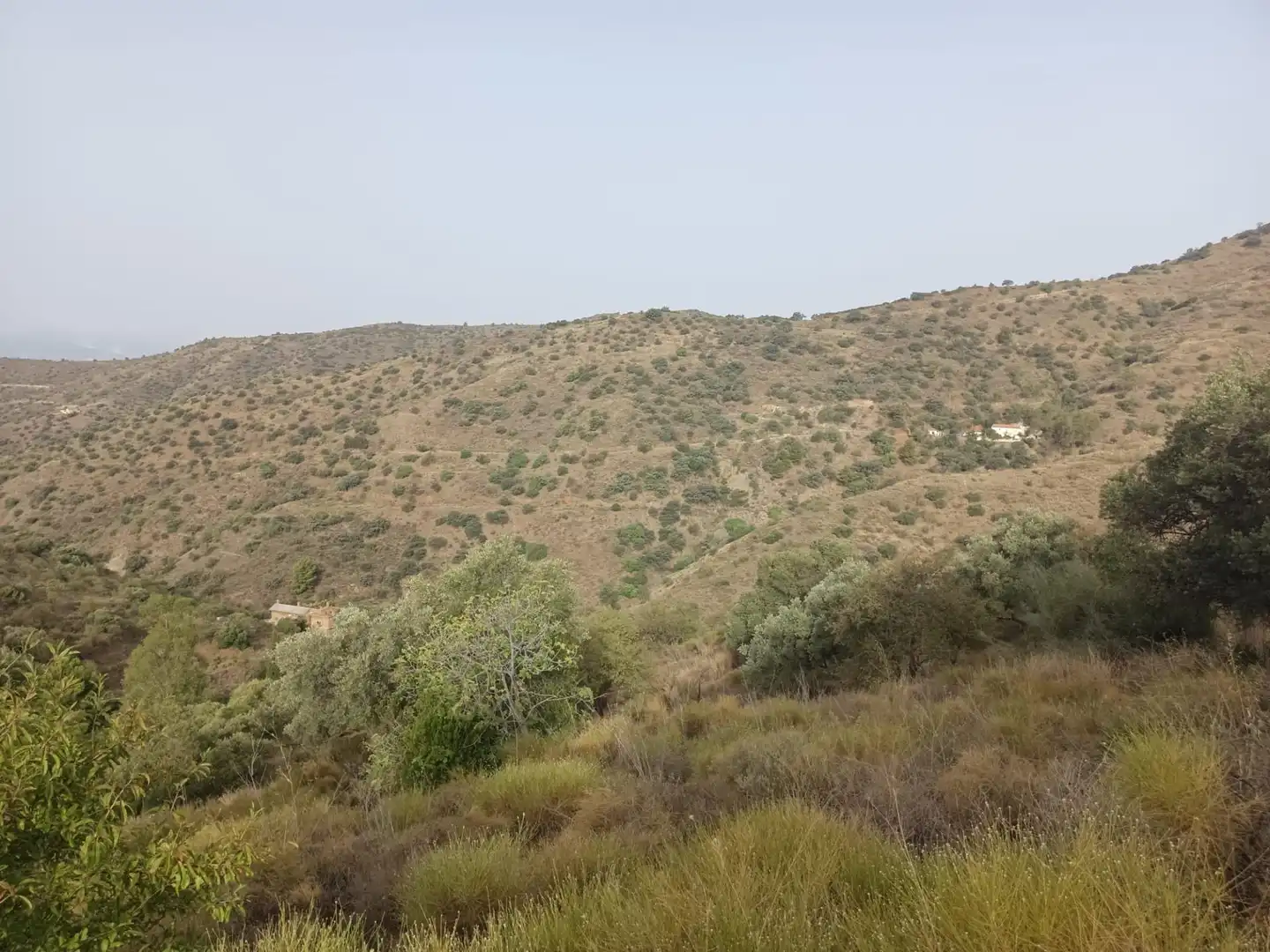 Terreni e lotti in vendita a Centro, imagen 15