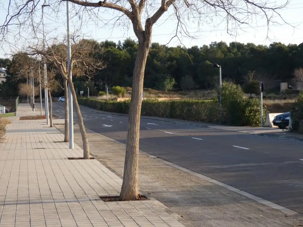 Residential land for sale in El Vedat - Santa Apolonia, imagen 6