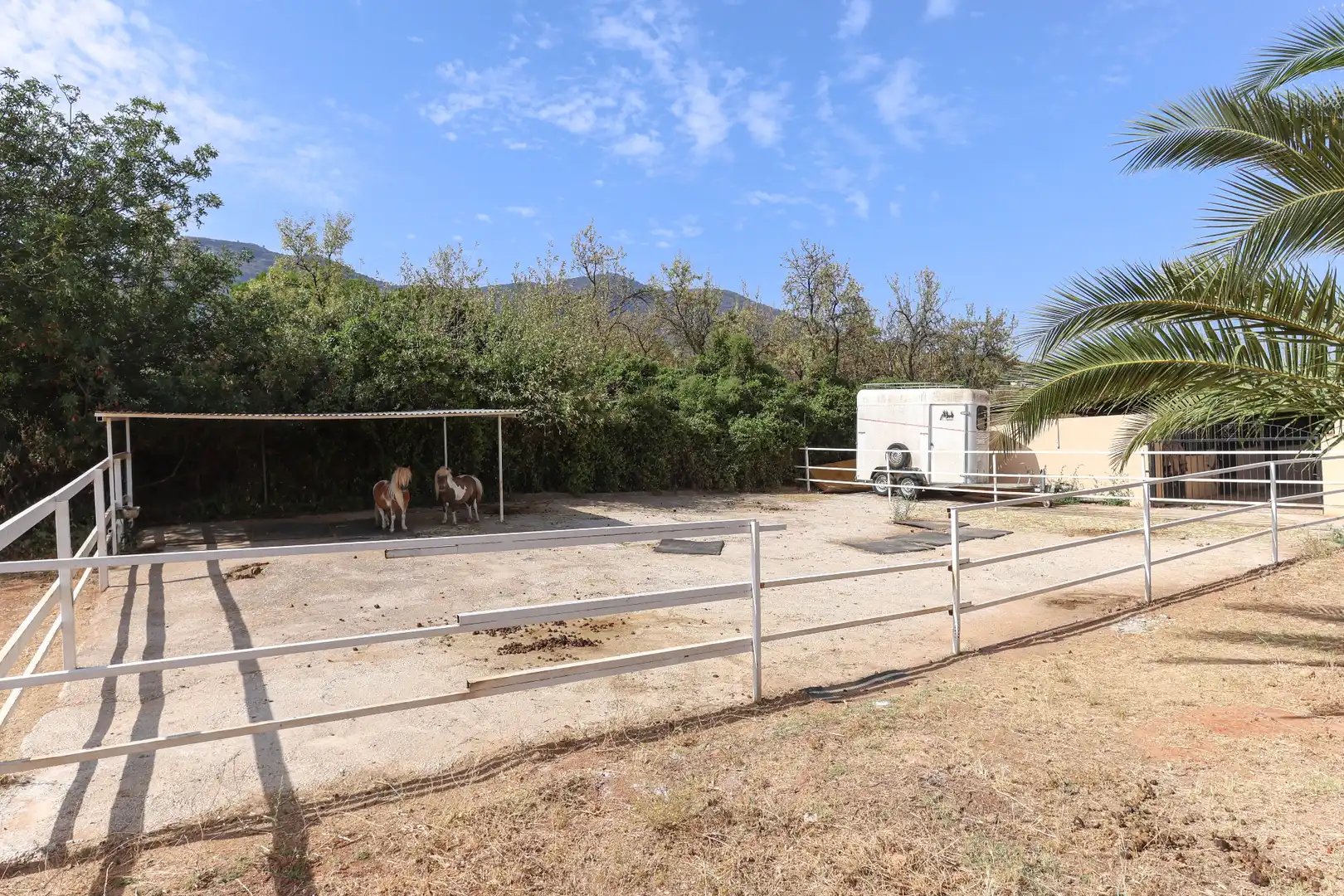 Casa con piscina en venta en Camino de Ardalejos, imagen 44