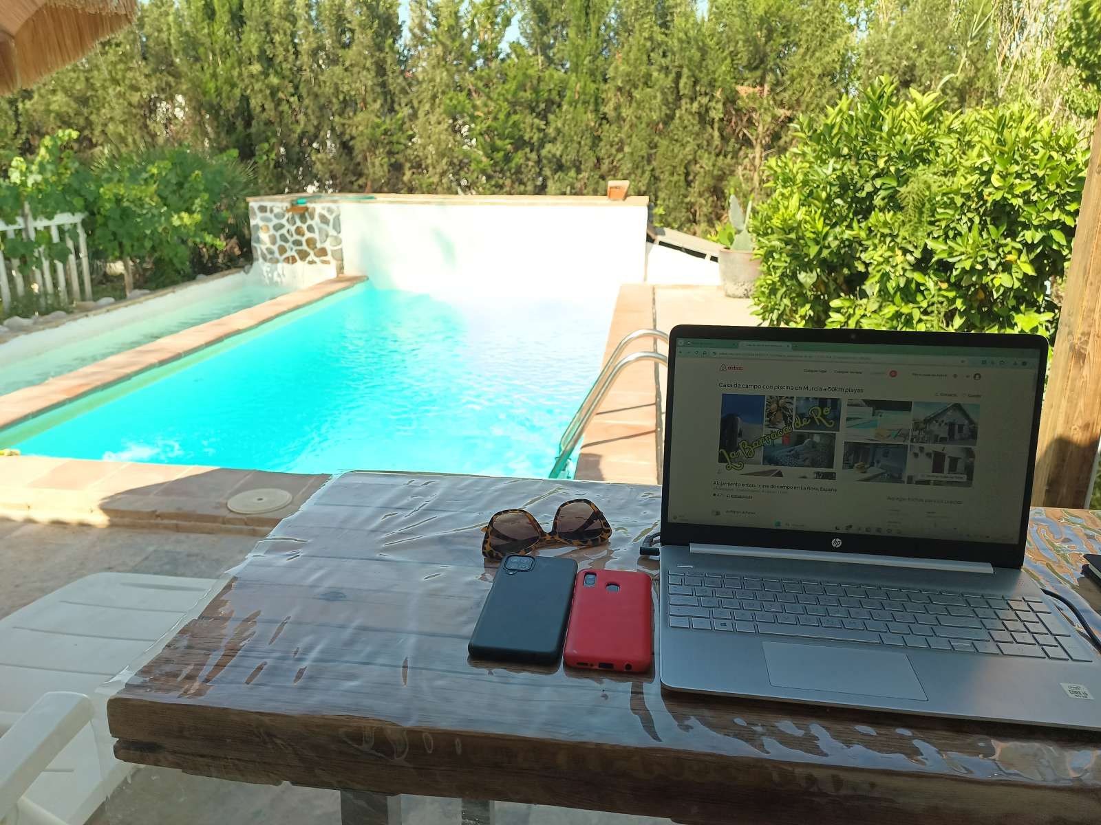 Garden of Apartment to share in  Murcia Capital  with Air Conditioner and Terrace