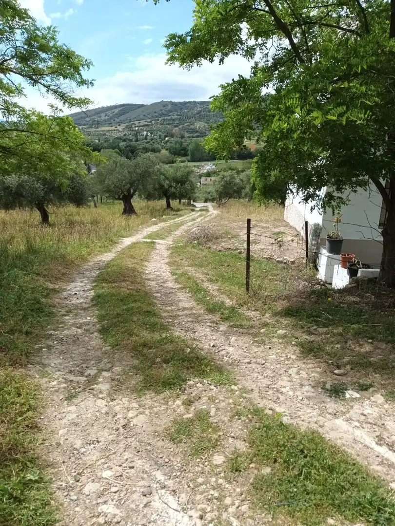 Casa rústica en venta en Partidas Norte, imagen 4