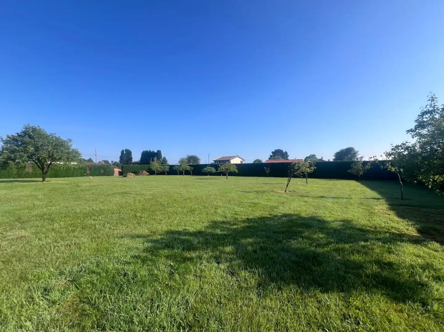 Residential land for sale in LG REBORIO 115, imagen 5