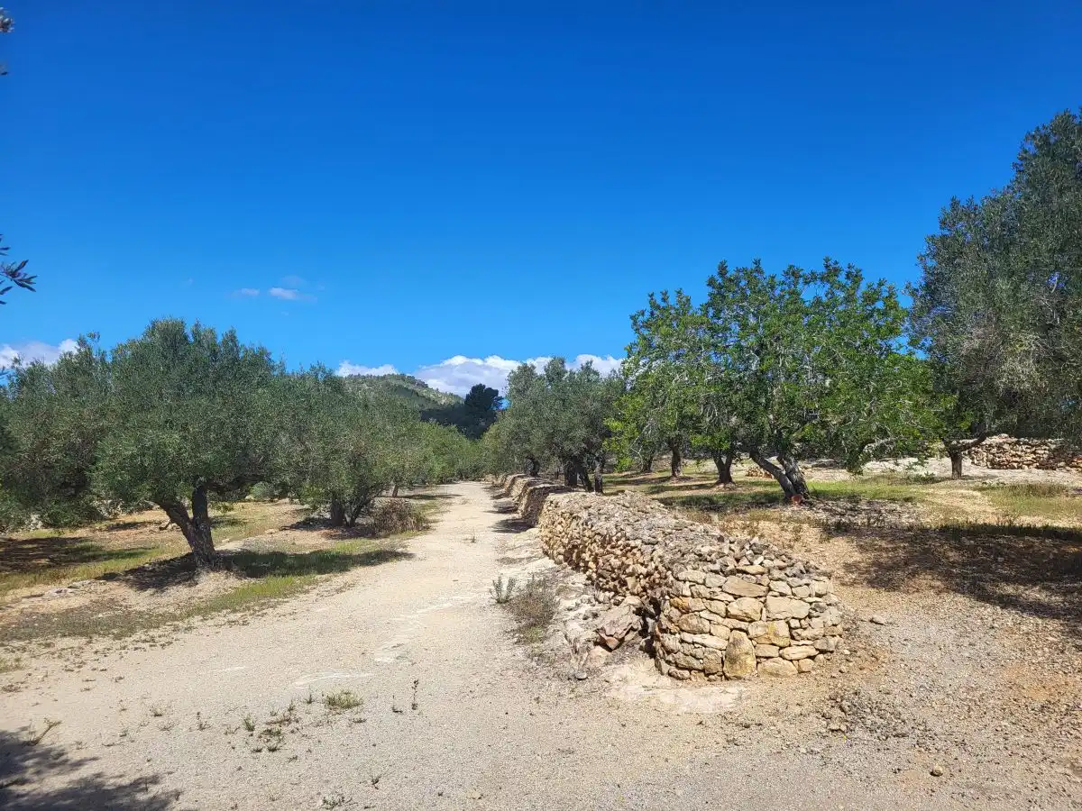 Country house for sale in Bassa del mig, imagen 10