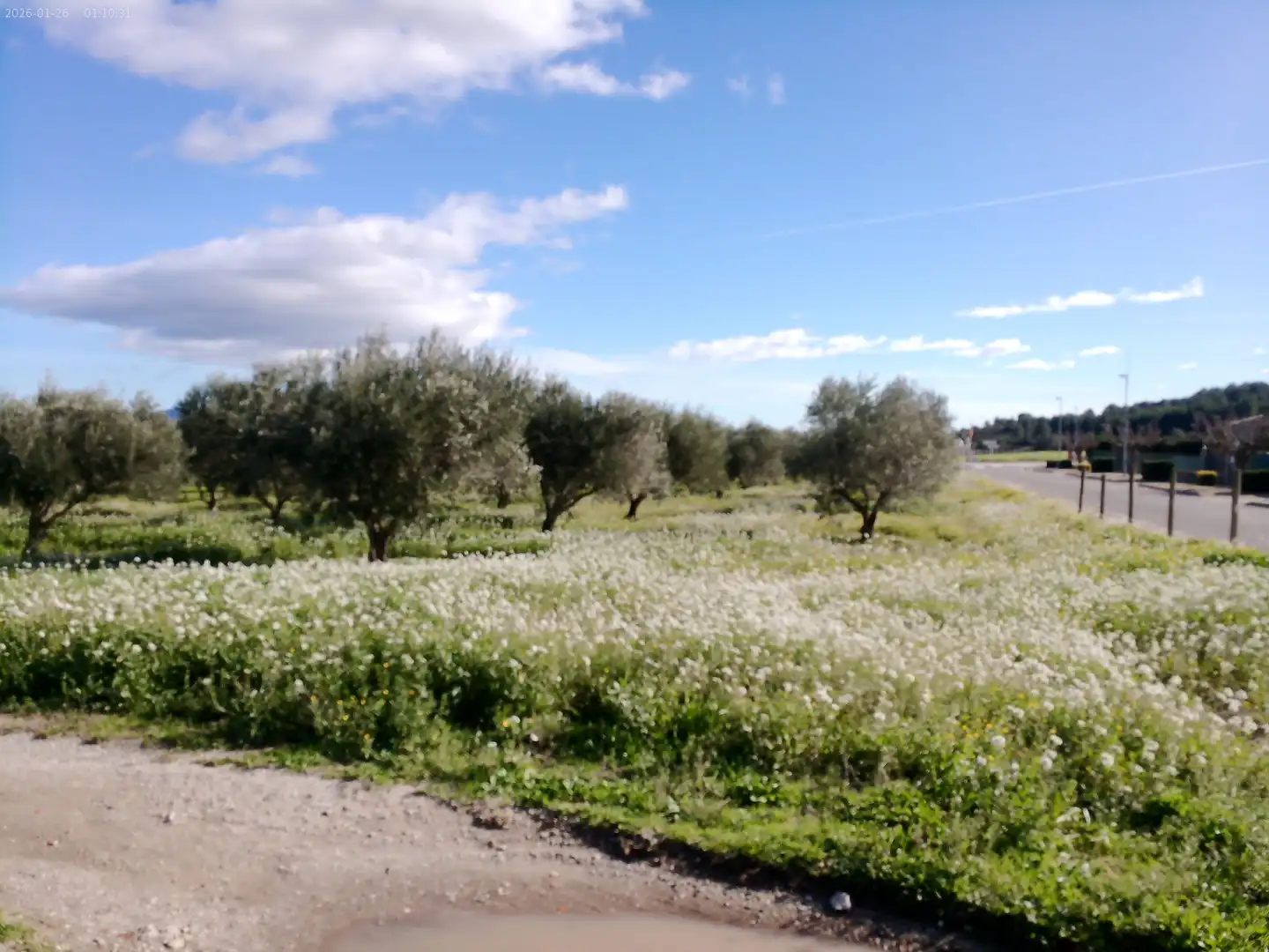 Jardín de Residencial en venta en Masarac i Vilarnadal