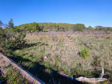 Terreno residencial en venta en Carretera Venta Del Zurdo 10
