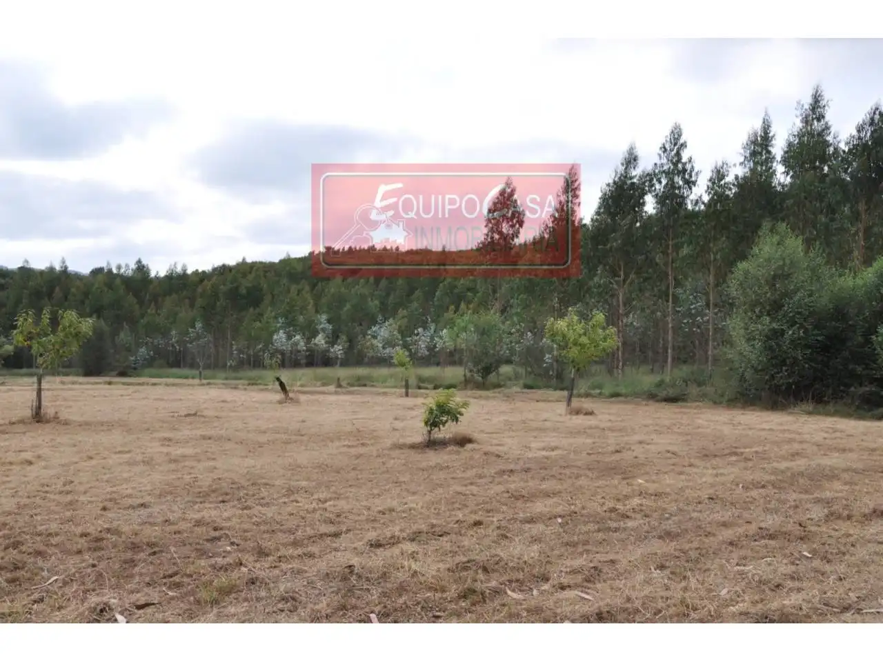 Casa o chalet en venta en Monterroso con Jardín privado y Alarma