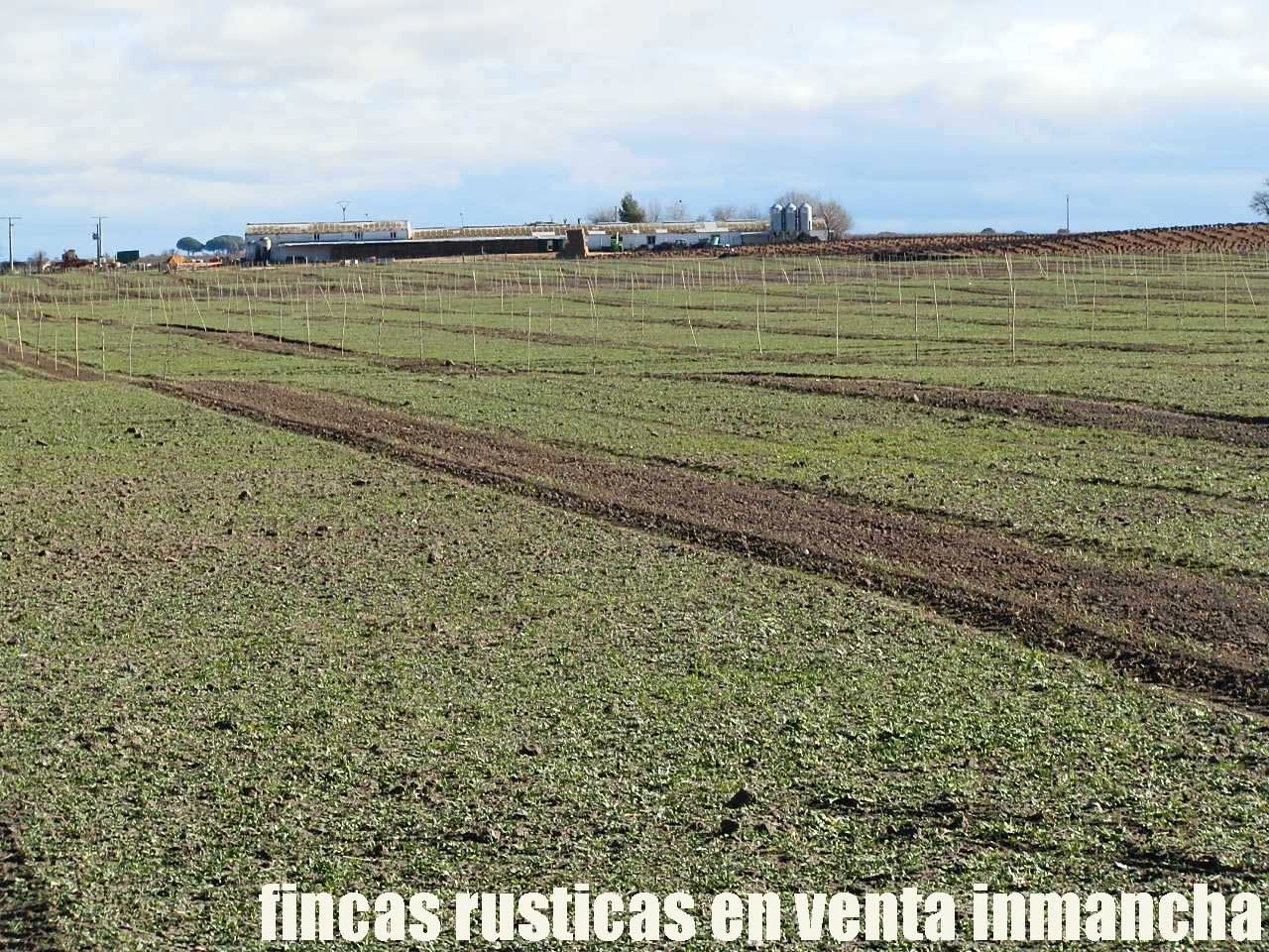 Land for sale in Las Mesas  