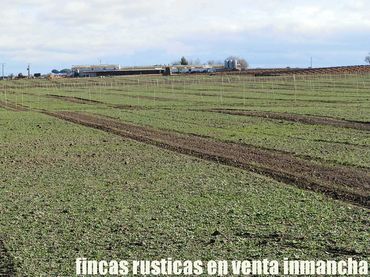 Terrain rustique à vendre à Las Mesas