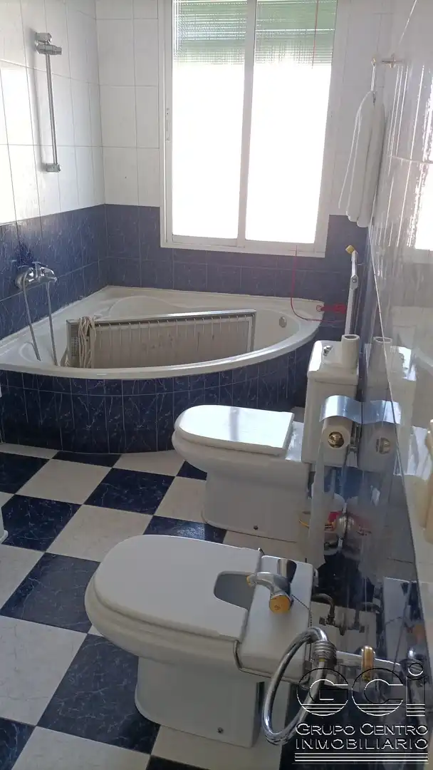 Bany de Casa o xalet en venda en El Acebrón  