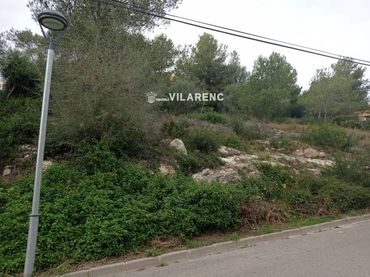 Terreno rustico in vendita a TORRE DELS ESCIPIONS