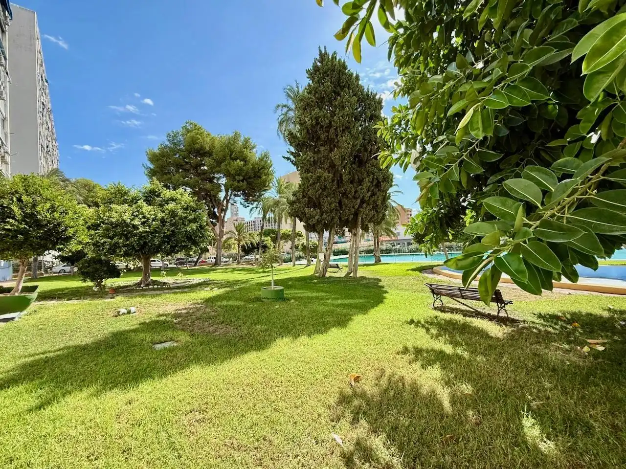Jardí de Estudi en venda en Benidorm amb Aire condicionat, Moblat i Piscina comunitària