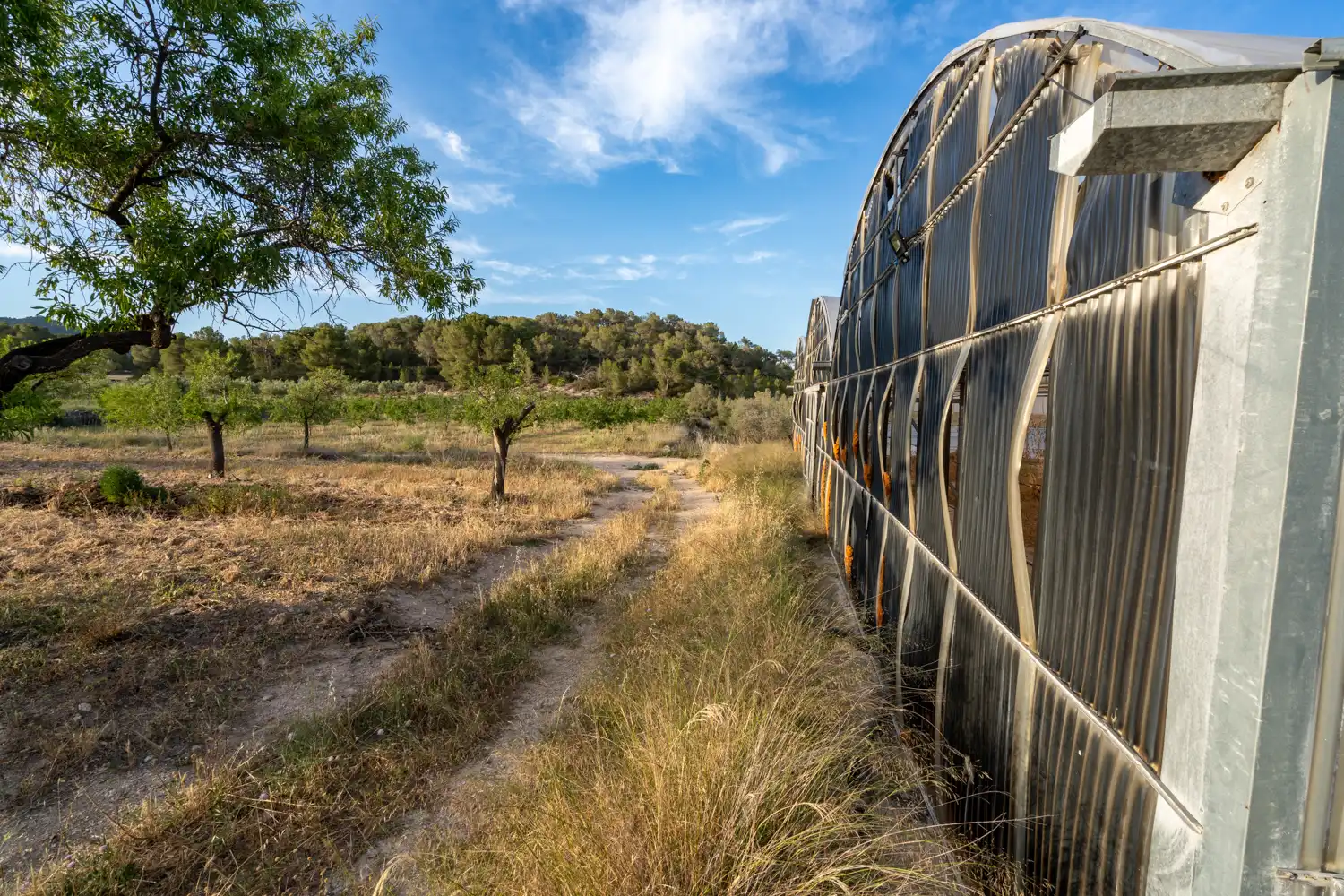 Exterior view of Land for sale in El Pinell de Brai